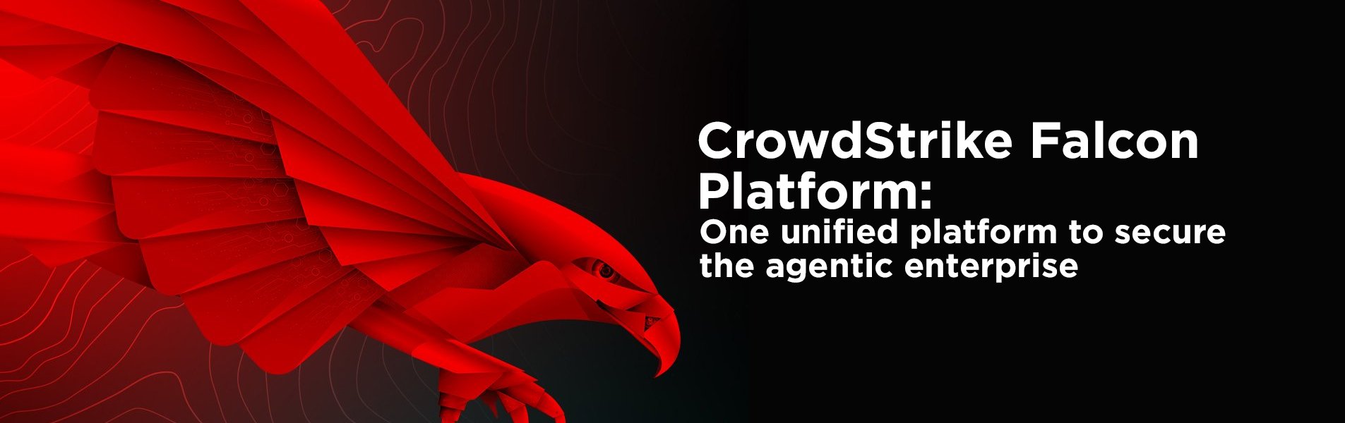 Banner Homepage